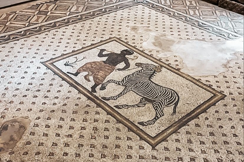 Haleplibahce-Mozaik-Muzesi-1 Şanlıurfa'da Gezilecek Yerler